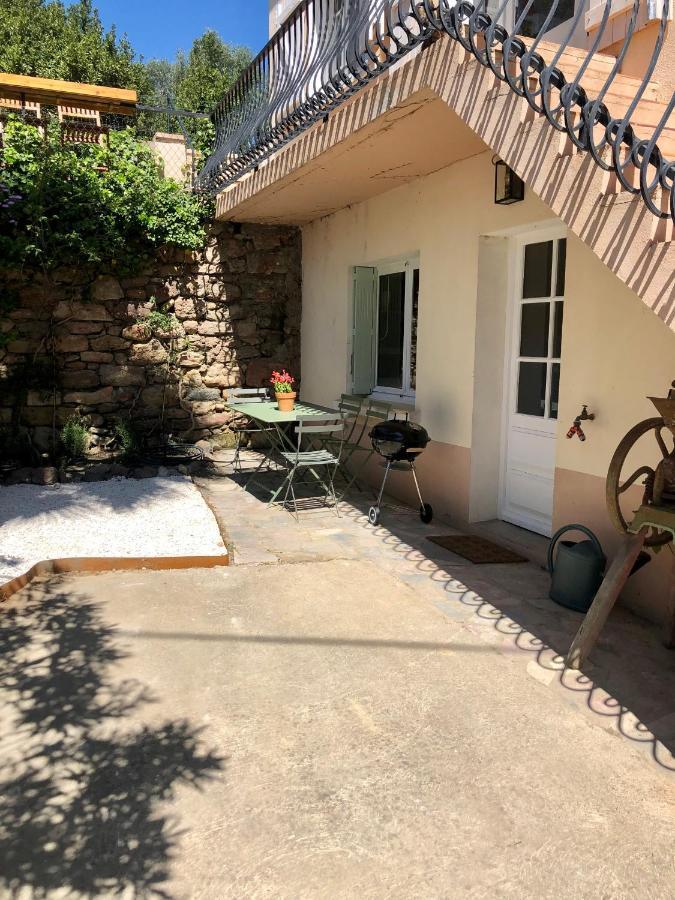 Gite Le Palmier - Perfectly Located Cosy Studio With Private Garden Puissalicon Exterior photo