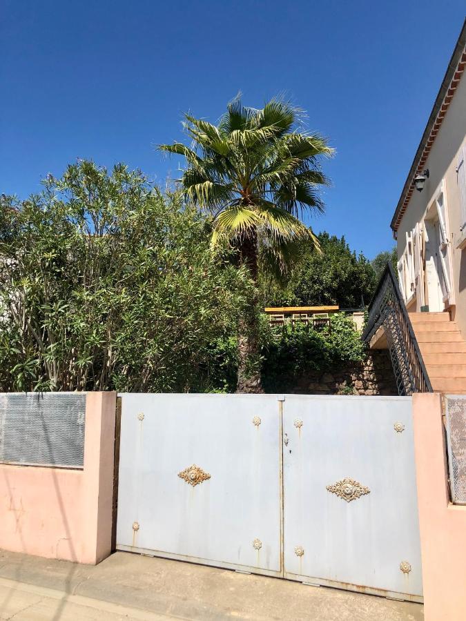 Gite Le Palmier - Perfectly Located Cosy Studio With Private Garden Puissalicon Exterior photo